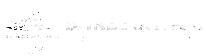 Shree Shyam Cargo Movers